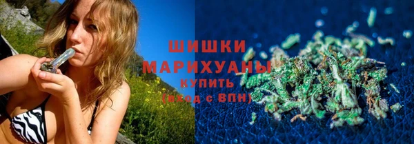 мдпв Гусь-Хрустальный