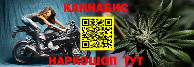 дмт Гай