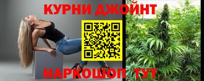 дмт Гай