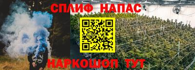 ГАЛЛЮЦИНОГЕННЫЕ ГРИБЫ Гагарин