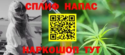 дмт Гай