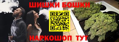 дмт Гай