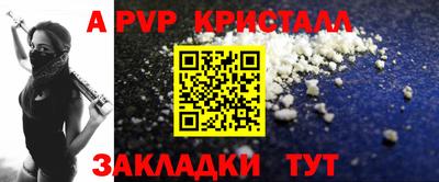 дмт Гай