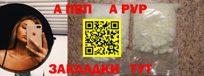 дмт Гай