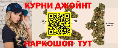 дмт Гай