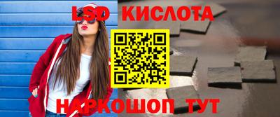 дмт Гай