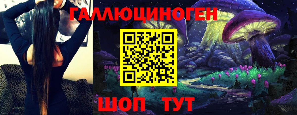 Псилоцибиновые грибы GOLDEN TEACHER Амурск