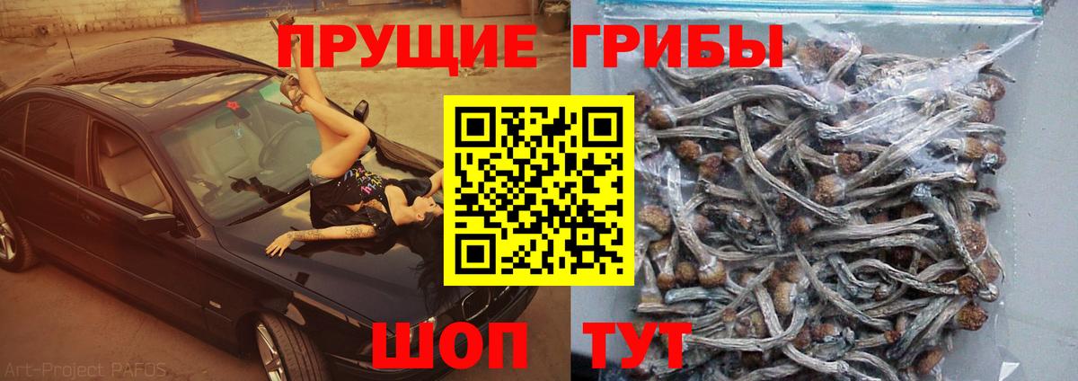 Галлюциногенные грибы мицелий  Галлюциногенные грибы мицелий  Амурск  Вход с VPN 