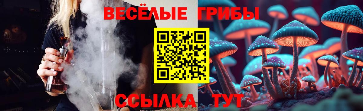 Галлюциногенные грибы GOLDEN TEACHER  Амурск 